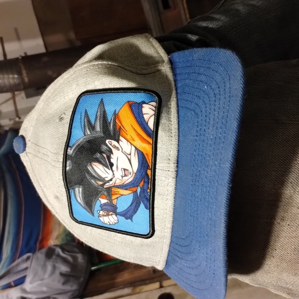 Bioworld Elite Flex Dragon Ball Z Goku Patch Snapback Hat